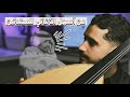 تعليم عزف يا ناس ما للهوى دكتور بسهولة فنان المستقبل لبيع وتعليم العود 