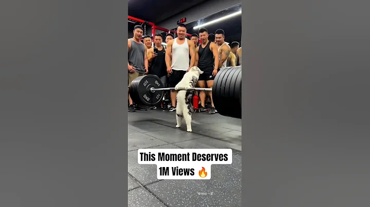 Don’t blink 👀 #shorts #viralvideos