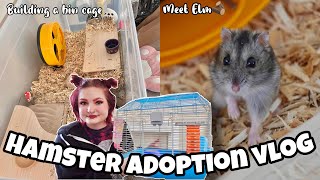 🐹HUGE HAMSTER RESCUE VLOG 🐹