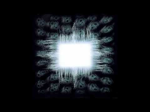 TOOL - Intermission