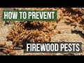 How to Keep Pests From Firewood