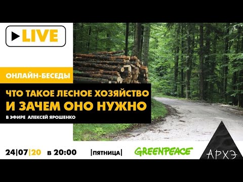 Видео: Смазливая DIY Скрученная веревочная корзина