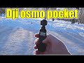 Камера dji osmo pocket и sony as 300 пример видео. Прогулка в парке