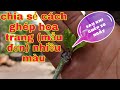 cách ghép hoa trang (mẫu đơn) nhiều màu