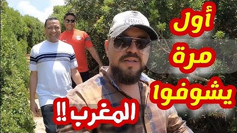 أصحابي وصلوا من مصر  "الرحلة اللي خلت صحابي يحبوا المغرب 🇲🇦 من أول يوم!"#مصري_في_المغرب #المغرب