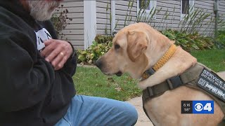 Service dog giving veterans hope when struggling with PTSD