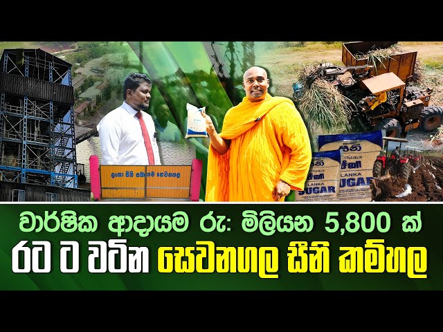 රට ට වටින සෙවනගල සීනි කම්හල - වාර්ෂික ආදායම රු: මිලියන 5,800 ක්