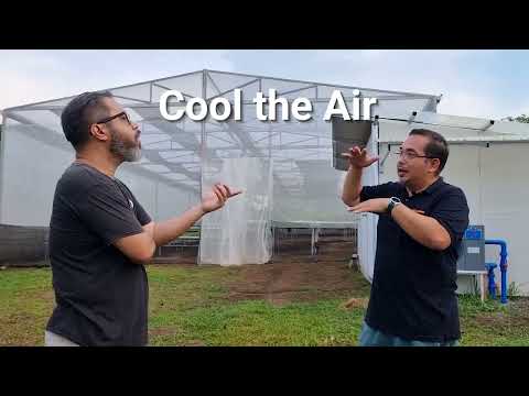 Video: Greenhouse Ventilation Info - Pagkontrol sa Greenhouse Temps