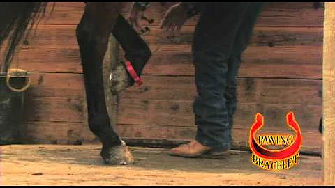 A Cure for the Pawing Horse