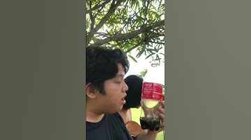 Thumbnail of recycle mi cola #meme #music #fyp #trend #viral #ratatouille