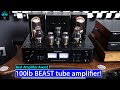 The BEST Amplifier Award ! Willsenton R800i Tube Integrated amplifier Review !