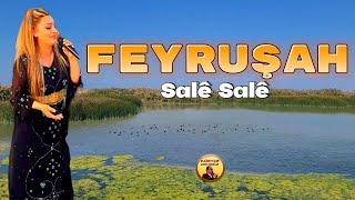 Feyruşah - Salē Salē -  Çok Dertli Uzun Hava Köy Manzaralı Video Resimi