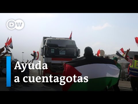 Nuevo convoy con insumos básicos entró en Gaza