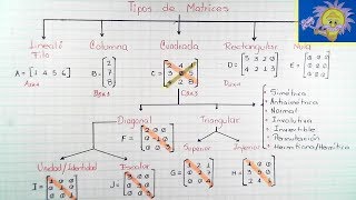 Tipos De Matrices Lineal Columna Cuadrada Triangular Escalar Diagonal Juliana La Profe