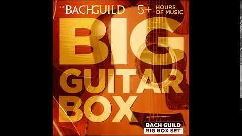 Antonio Vivaldi: Mandolin Concerto in C Major, R. 425: II. Larghetto