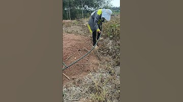 Cách gắn béc tưới chuẩn nhất cho hệ thống tưới sầu riêng