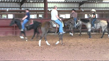 Valley View Ranch - Top Dual - warm up before sorting practice