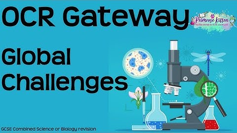 Het hele OCR Gateway biologie onderwerp 6 - Global Challenges GCSE Revisie