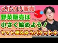 【野菜のメルカリ販売で利益倍増！？】発送の形と送料を徹底解説！！２つの箱を上手く使え！