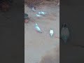 हमारे शौक से भी लोग जल जाते हैं