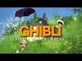 Studio Ghibli Relaxing Guitar Music 4 Hours BGM スタジオジブリ 癒しのギターBGM 4時間 