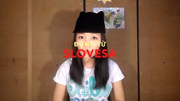 Học tiếng Séc 36: Slovesa (Động từ) 1