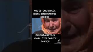 Yol üstüne bir gül diktim  biter garipce garipce Resimi