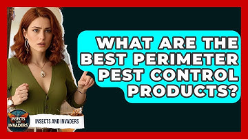 What Are The Best Perimeter Pest Control Products? - Insects and Invaders
