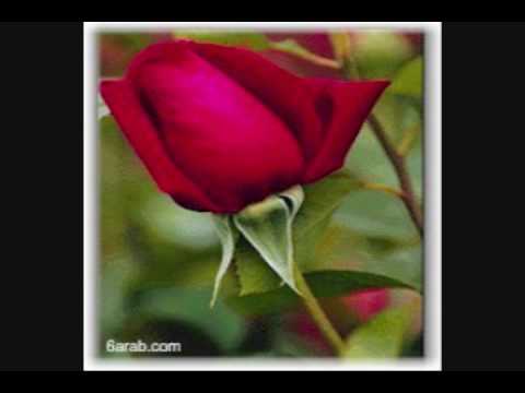    2 ماذا أقول لأذني يوري مرقدي