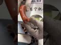 Wooden Handle Sanding by Physical Manufacturer