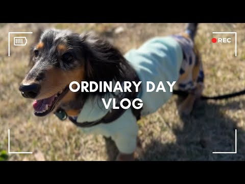 いぬファーストの日。【Ordinaryday Vlog】