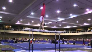 Allan Bower - Parallel Bars - 2014 Winter Cup Challenge Finals