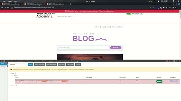 29.4 Lab: DOM XSS via an alternative prototype pollution vector - Karthikeyan Nagaraj