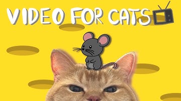 【Cat entertainment video】GAME FOR CATS  - MOUSE 1 hour