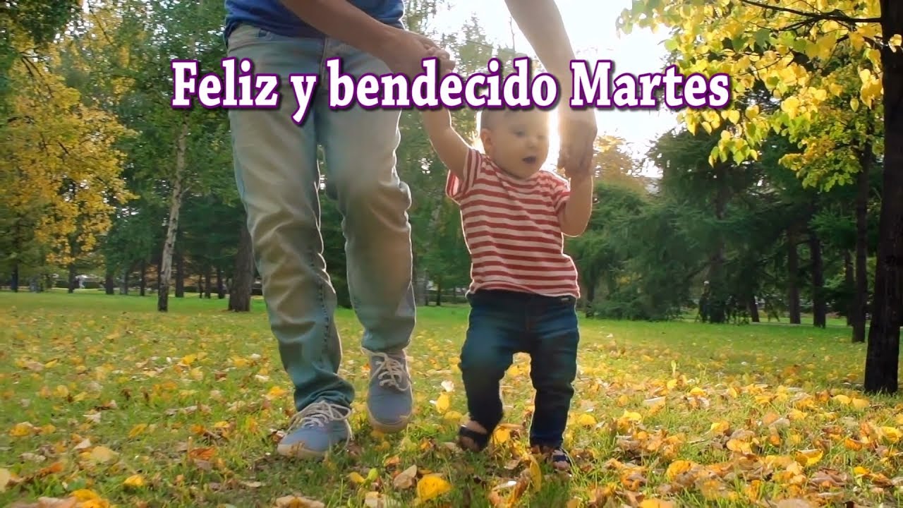 amistad meaning Feliz y Bendecido Martes