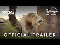 Magic of disneys animal kingdom  official trailer  disney