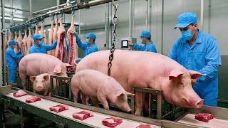 Inside a Giant Pig Farm &amp; Meat Processing Plant | Raising Millions of Pigs