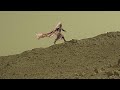 Perseverance rover latest recently uploaded by nasa  mars latest news mars 4k