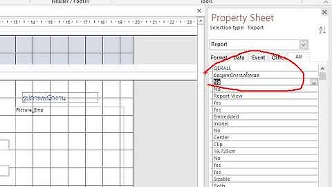 Crate Report for Employee การสร้างรายงานข้อมูลพนักงานโดยการควบคุมการแสดงผลผ่านฟอร์ม