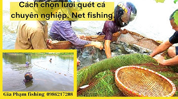 Ngư dân, thợ kéo cá chuyên nghiệp  đã  sử dụng lưới quét cá rất hiệu quả như thế nào. Net fishing.