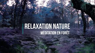 Musique de méditation et de relaxation en nature - Slow Tv Forêt Française - ambiance féérique