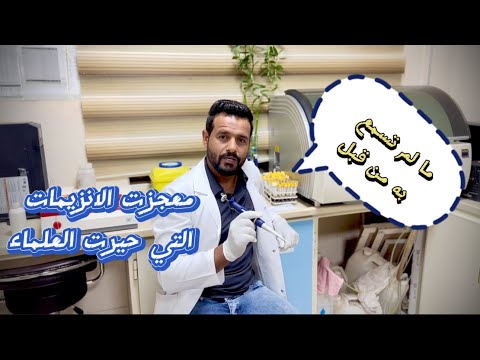 السر المذهل كيف يتفوق جسمك على أقوى مختبرات العالم في هضم البروتين