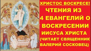 Чтения из 4 Евангелий о воскресении Христа (с иллюстрациями). Священник Валерий Сосковец.