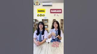 Mandarin vs Hakka #shorts #smaasokasingkawang #singkawang #mandarinvshakka #mandarin #hakka