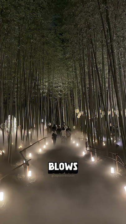 3 Things about Japan that few people know 🇯🇵🤔