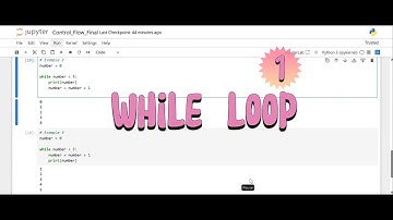 while loop 1: Python Control Flow Statements