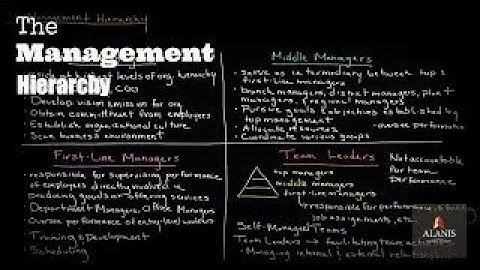 Avsnitte 141: The Management Hierarchy: A Look Into the Different Levels of Management
