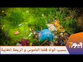 كارثة بيئية تهدد سلامة وصحة ساكنة دوار الكنافدة بجماعة البحارة أولاد عياد ضواحي القنيطرة كارثة بيئية تهدد سلامة وصحة ساكنة دوار الكنافدة بجماعة البحارة أولاد عياد ضواحي القنيطرة