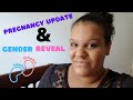 PREGNANCY UPDATE!!!!!| GENDER REVEAL!!!! | 2ND TRIMESTER RUNDOWN