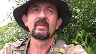 Ловля голавля нахлыстом на Дону